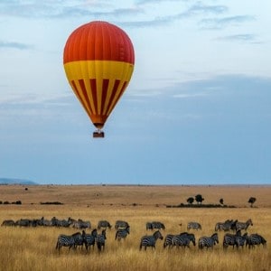 Africa Holidays with World Lifetime Journeys. Travel in Africa