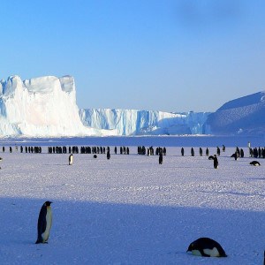 Antarctica Holidays with World Lifetime Journeys. Travel in Antarctica