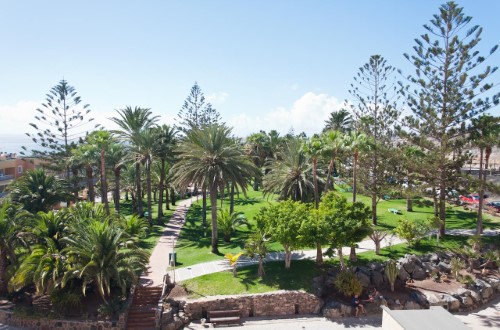 Beautiful garden at IFA Interclub Atlantic Hotel in Maspalomas, Gran Canaria. Travel with World Lifetime Journeys