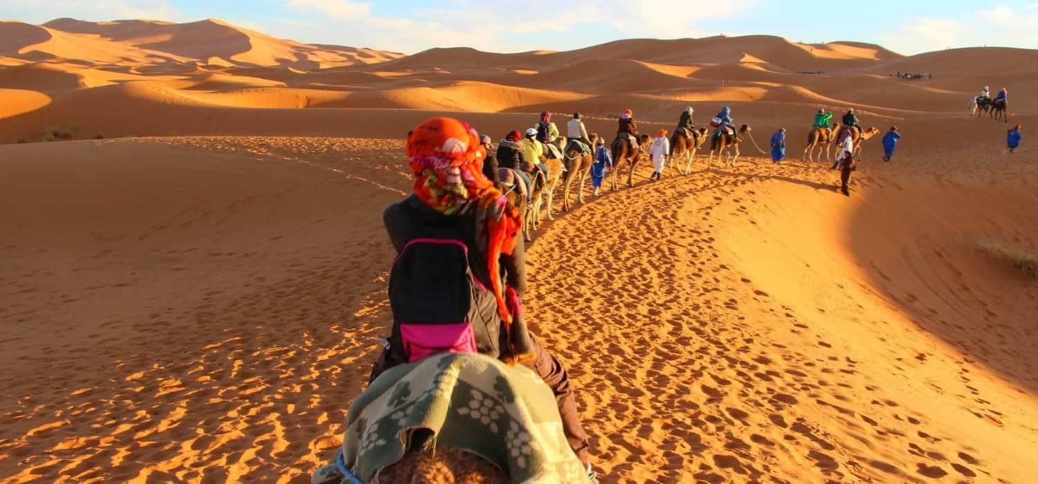 Caravan with tourists in Sahara desert, Morocco, Egypt, Tunisia. Travel with World Lifetime Journeys