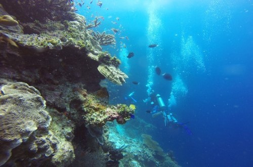 Chumbe Island Coral Park scuba diving. Travel with World Lifetime Journeys