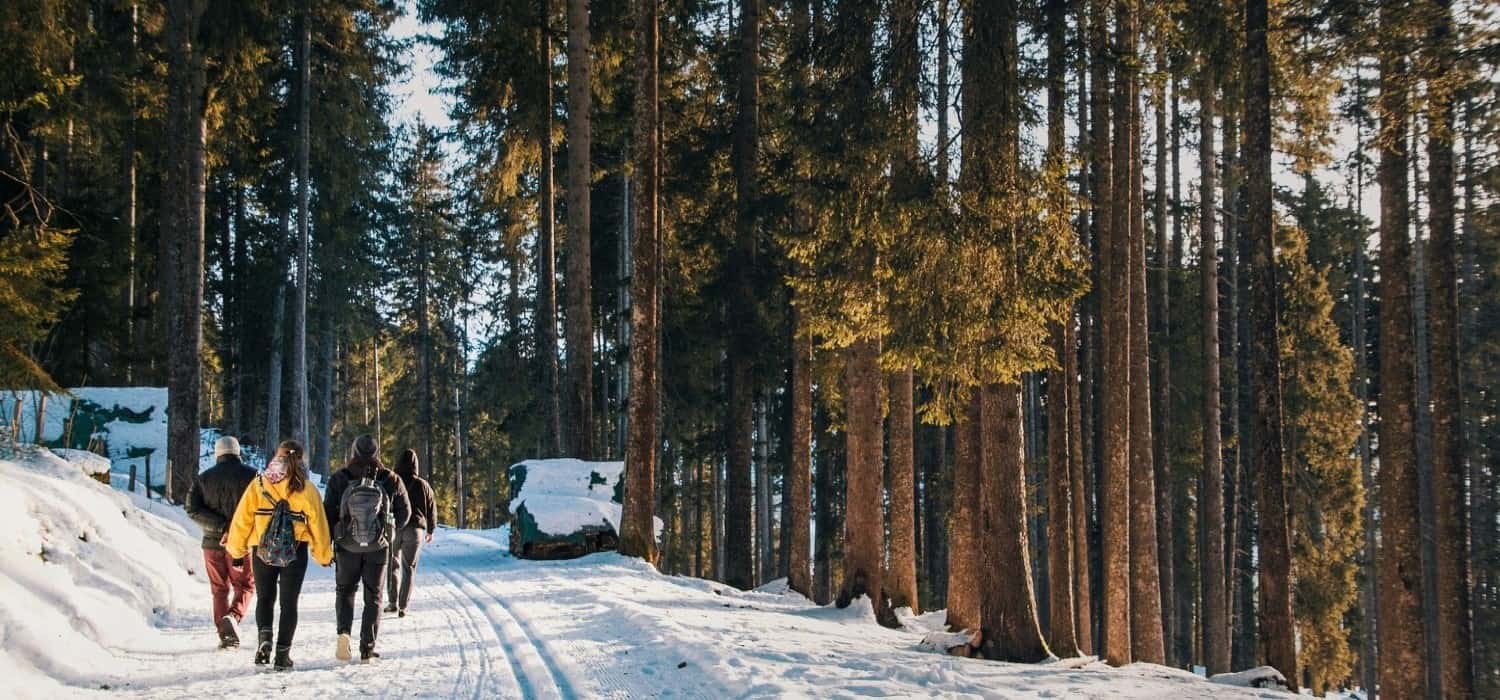 Forest hiking in winter, Switzerland. Travel with World Lifetime Journeys