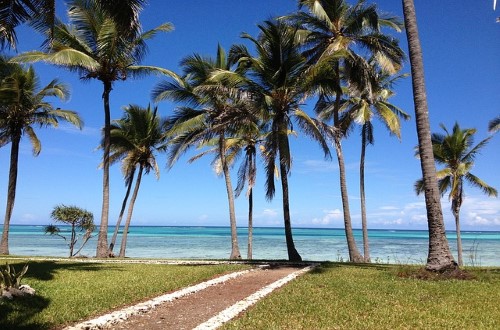 Getting to the beach in Zanzibar. Travel with World Lifetime Journeys