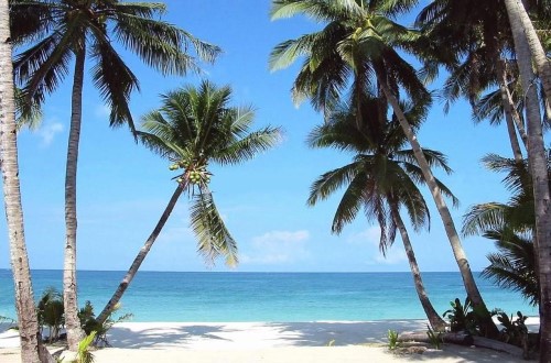 Going to the ocean at Palumbo Reef, Zanzibar. Travel with World Lifetime Journeys