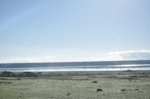 Lake Ndutu seen from distance. Travel with World Lifetime Journeys