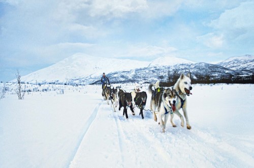 Let the huskies pull you over the frozen landscape on Norway Voyages. Travel with World Lifetime Journeys