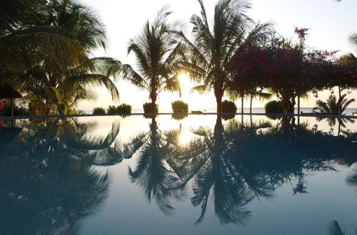 Pool view Vila Lisa at Milele Villas, Zanzibar. Travel with World Lifetime Journeys