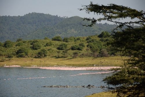 Momela Lakes in Arusha National Park
