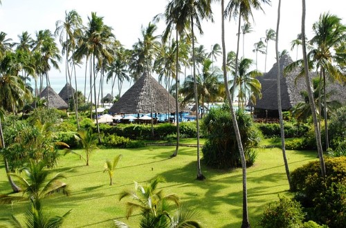 Palm trees and tropical garden in Zanzibar
