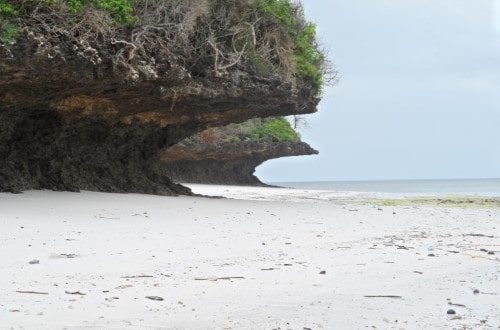 Public beach in front of Ras Michamvi. Travel with World Lifetime Journeys