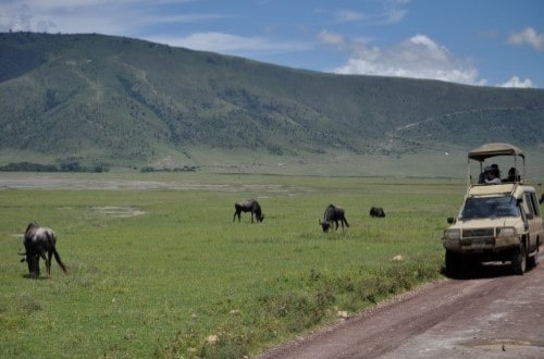 Safari car in Ngorongoro Crater. Travel with World Lifetime Journeys