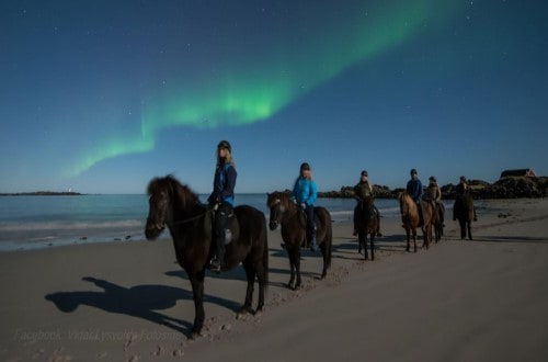 Sky-watching Astronomy Voyage horseback riding and the Northern Lights in Norway. Travel with World Lifetime Journeys