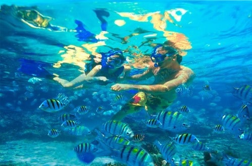 Snorkeling in Zanzibar. Travel with World Lifetime Journeys