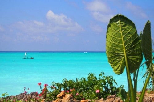 Splendid marine landscape at Essque Zalu, Zanzibar. Travel with World Lifetime Journeys