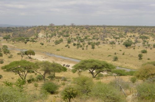 Tarangire river and ecosystem. Travel with World Lifetime Journeys