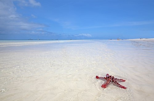 The beach at Palumbo Reef, Zanzibar. Travel with World Lifetime Journeys