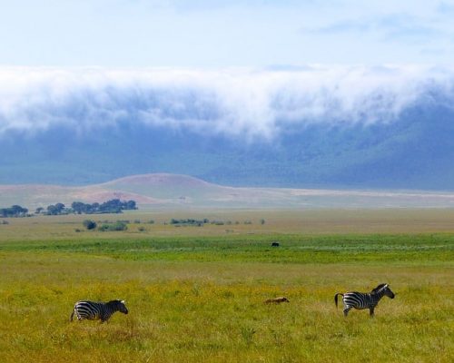 Unique experience in Ngorongoro Crater. Travel with World Lifetime Journeys