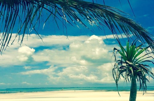 White sand beach at Samaki Lodge, Zanzibar. Travel with World Lifetime Journeys