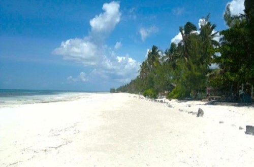 Zanzibar beach. Travel with World Lifetime Journeys