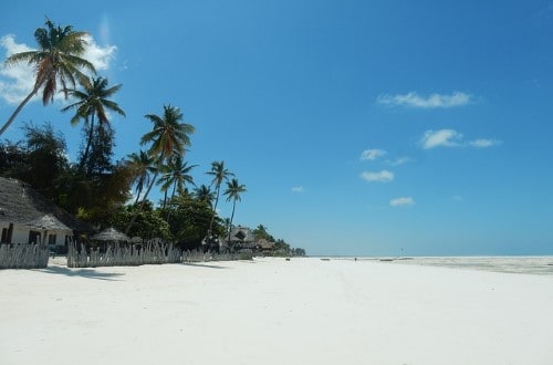 Zanzibar white sand beach