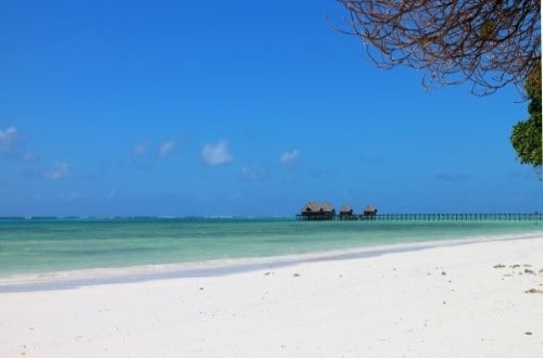 Zanzibar paradise beach. Travel with World Lifetime Journeys