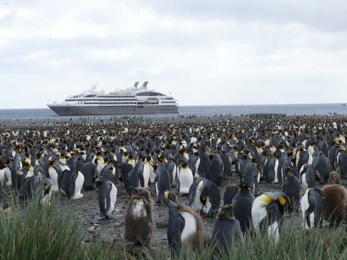 Cruise Deals in Antarctica 700px. Travel with World Lifetime Journeys