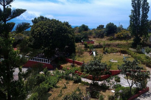 Garden view at Karavados Beach Hotel in Kefalonia Island, Greece. Travel with World Lifetime Journeys