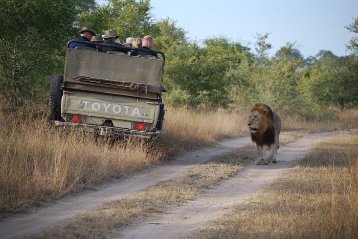 Safari Offers Main Photo 700px. Travel with World Lifetime Journeys