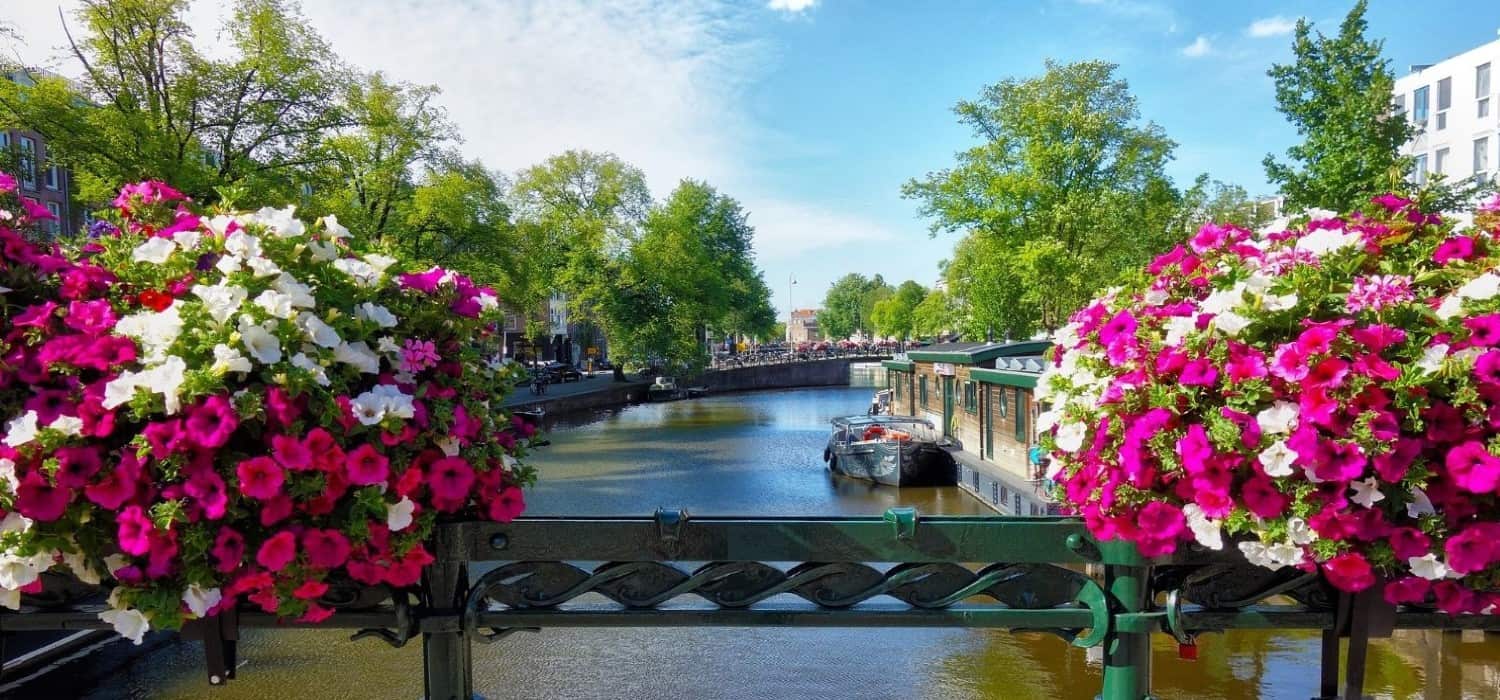 Beautiful flowers in Amsterdam, Netherlands. Travel with World Lifetime Journeys