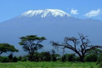 Northern Circuit Route Kilimanjaro product. Travel with World Lifetime Journeys