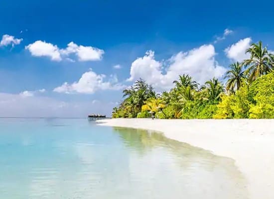 Bahamas Florida Cruise Miami Stay Grand Bahama Island. Travel with World Lifetime Journeys
