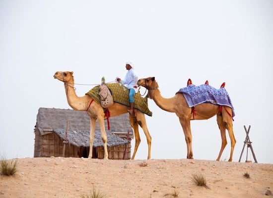 Beach holiday Dubai. Travel with World Lifetime Journeys