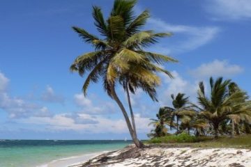 Extended holiday Exotic Punta Cana product 500px. Travel with World Lifetime Journeys