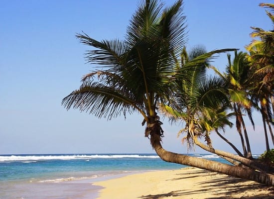 Extended holiday Exotic Punta Cana. Travel with World Lifetime Journeys