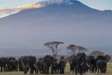 Marangu Route Kilimanjaro lifetime adventure product 500px. Travel with World Lifetime Journeys