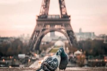 Valentines city break Paris product 500px. Travel with World Lifetime Journeys