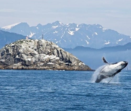 Alaska Hubbard Glacier product 500px. Travel with World Lifetime Journeys