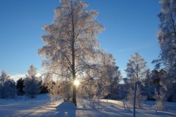 Akas ALP Apartments Lapland product 500px. Travel with World Lifetime Journeys