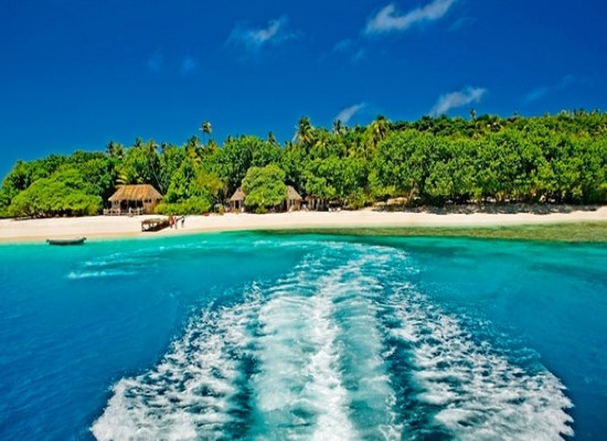 south pacific crossing cruises
