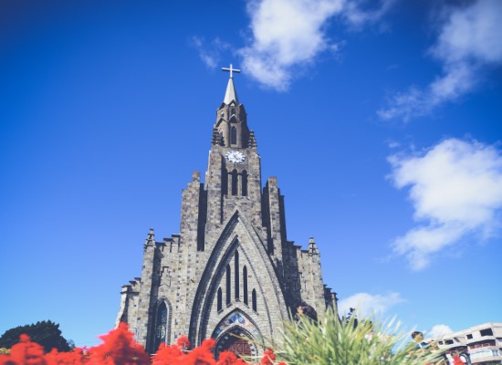 Cathedral of Our Lady of Lourdes France religious tour