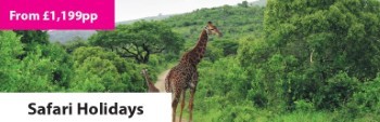 Safari Holidays. Travel with World Lifetime Journeys