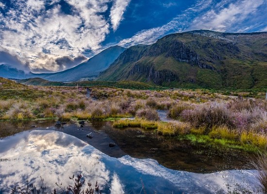 Tongariro National Park New Zealand. Travel with World Lifetime Journeys